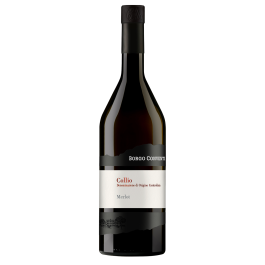 Borgo Conventi Merlot Collio 