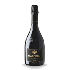 Ariola MARCELLO Lambrusco dell'Emilia IGP Vino Spumante Rosso Dry