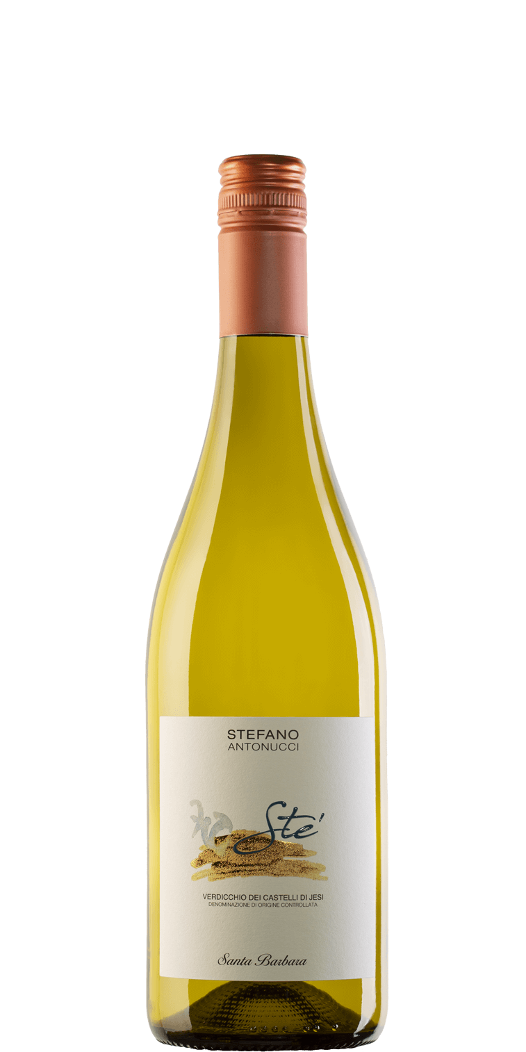 STEFANO ANTONUCCI STE BIANCO