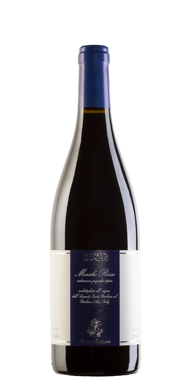 STEFANO ANTONUCCI ROSSO MONTEPULCIANO, MERLOT E CABERNET SAUVIGNON