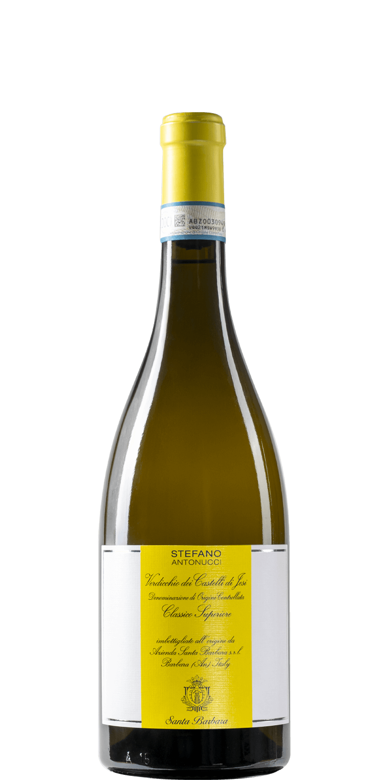 STEFANO ANTONUCCI VERDICCIO DEI CASTELLI DI JESI CLASSICO SUPERIORE DOCG