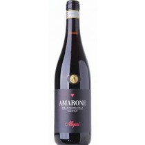 Allegrini amarone della Valpolicella classico docg 