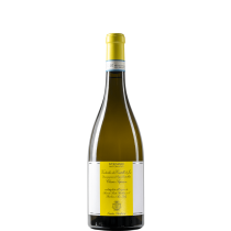 STEFANO ANTONUCCI VERDICCIO DEI CASTELLI DI JESI CLASSICO SUPERIORE DOCG