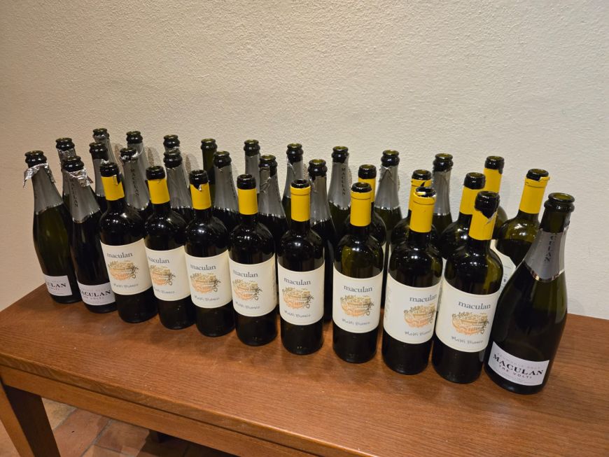 Degustazione cenata vini di Breganze di Maculan